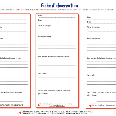 Commentaires et observations pour le portfolio secondaire