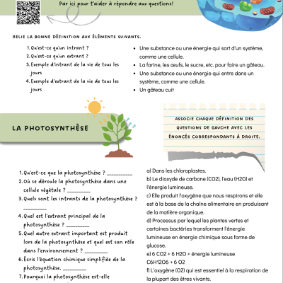 La photosynthèse et la respiration cellulaire – activité secondaire 2