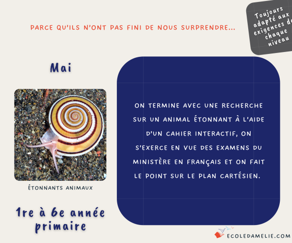 24-25-primaire-mai